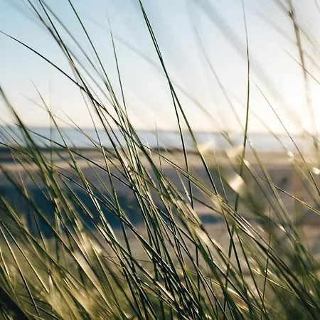 Apartment Nordstrandperle Ap H2 *