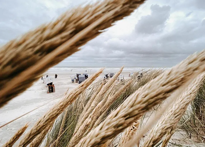 Nordstrandperle Ap H2 诺德奈