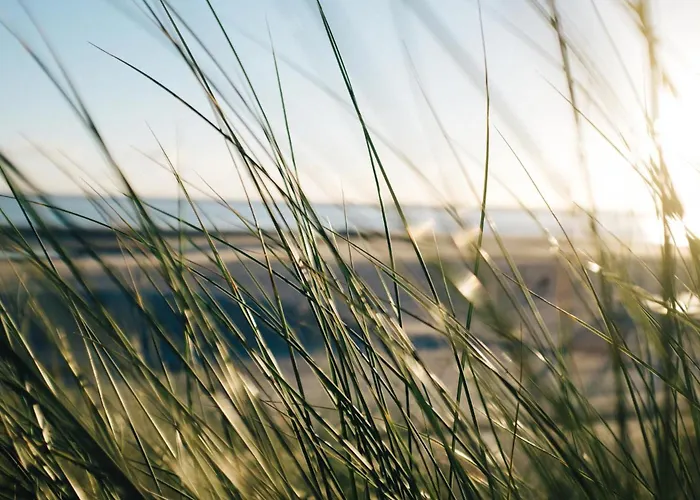 公寓 Nordstrandperle Ap H2 *